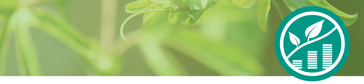 Zertifikatskurs - Management Nachhaltigkeit